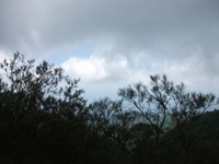 nte Rinatu-20110615 078